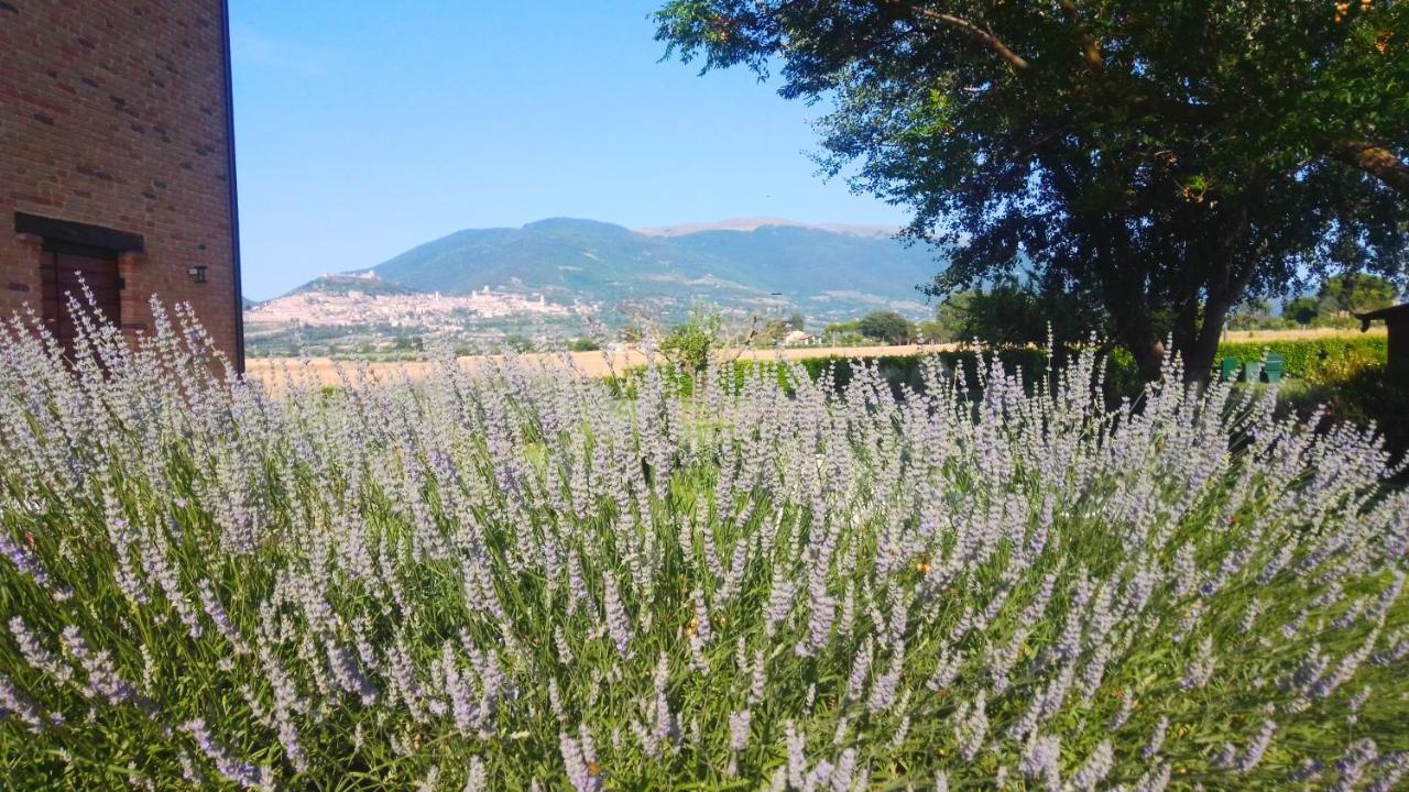 Assisium Agriturismo Villa Exterior photo