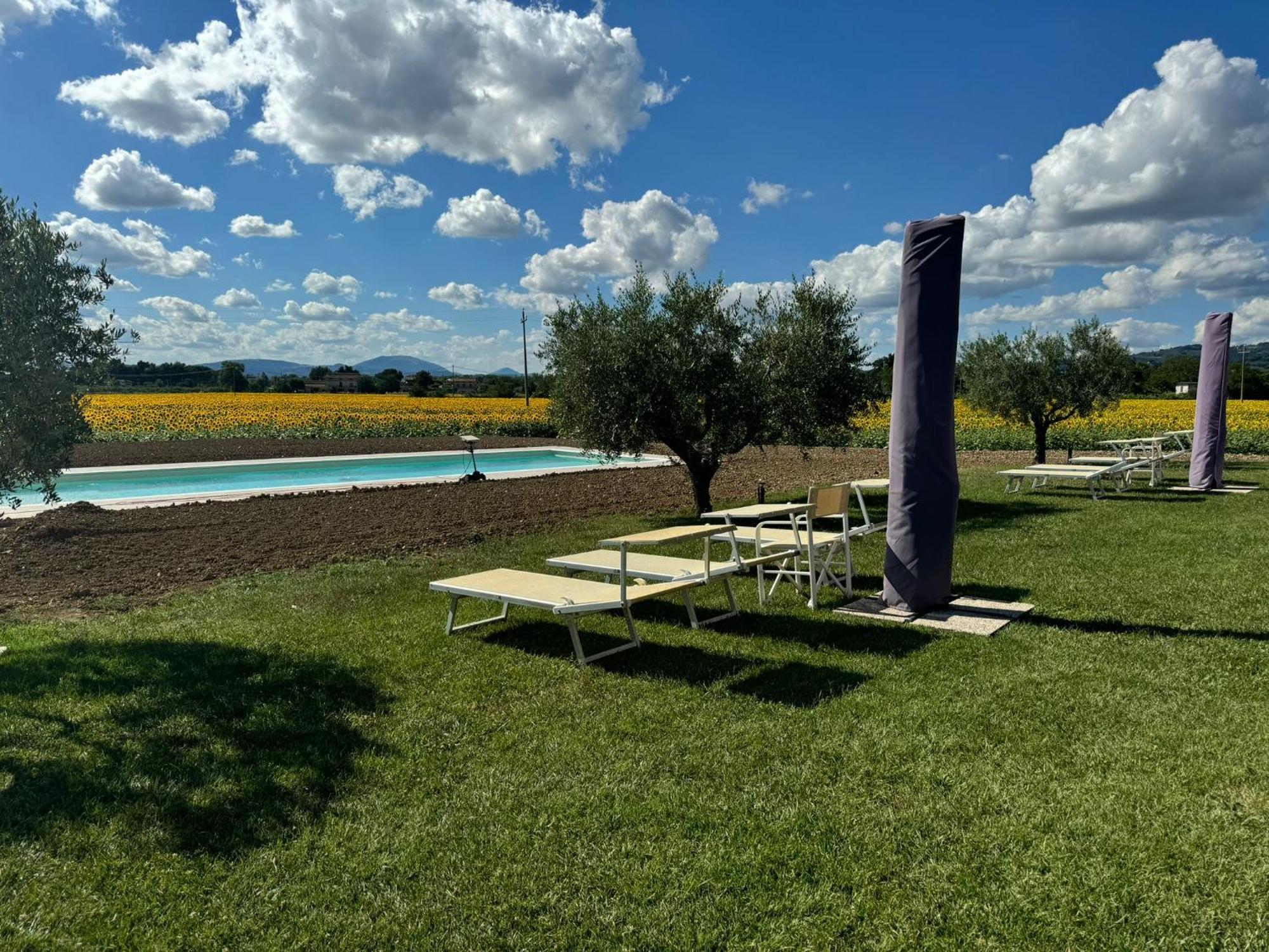 Assisium Agriturismo Villa Exterior photo